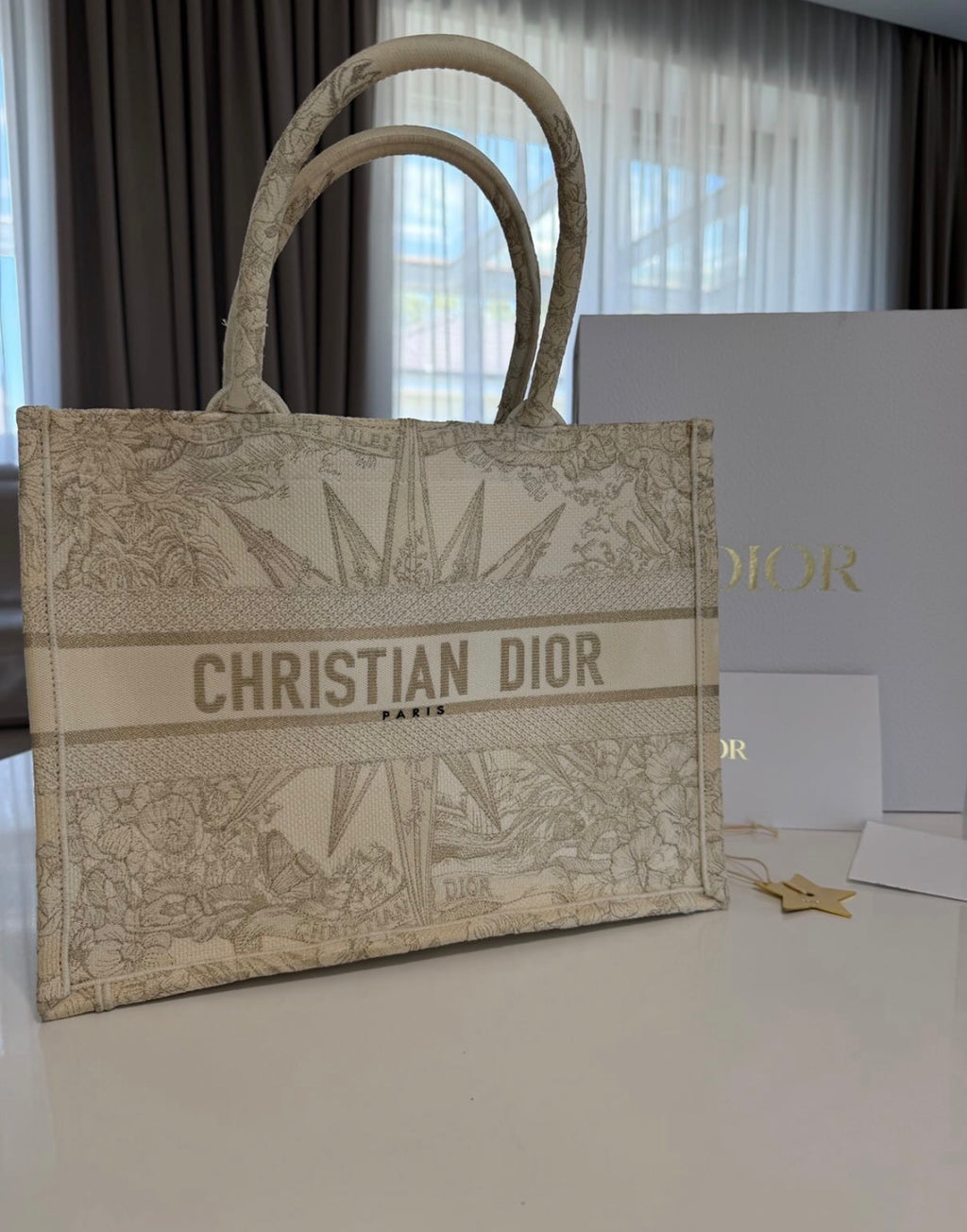 Christian Dior Toile de Jouy Zodiac Book Tote Bag (Beige/Gold Canvas)