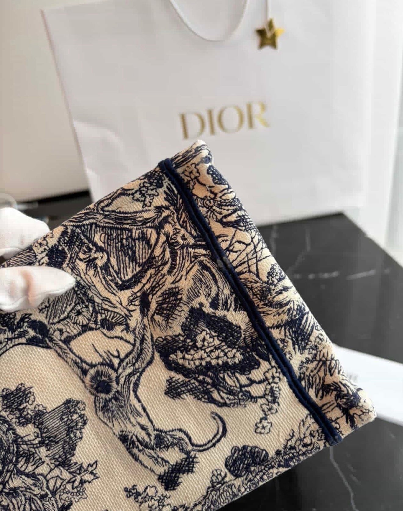 Dior Book Tote Medium Embroidered Canvas Bag – Like New