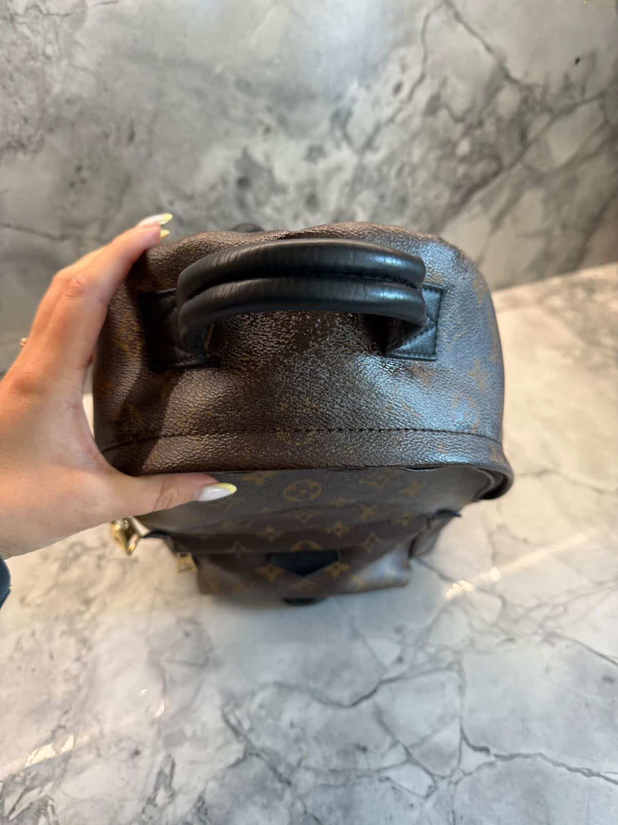 Louis Vuitton Palm Springs Backpack PM Monogram (Pre-owned)