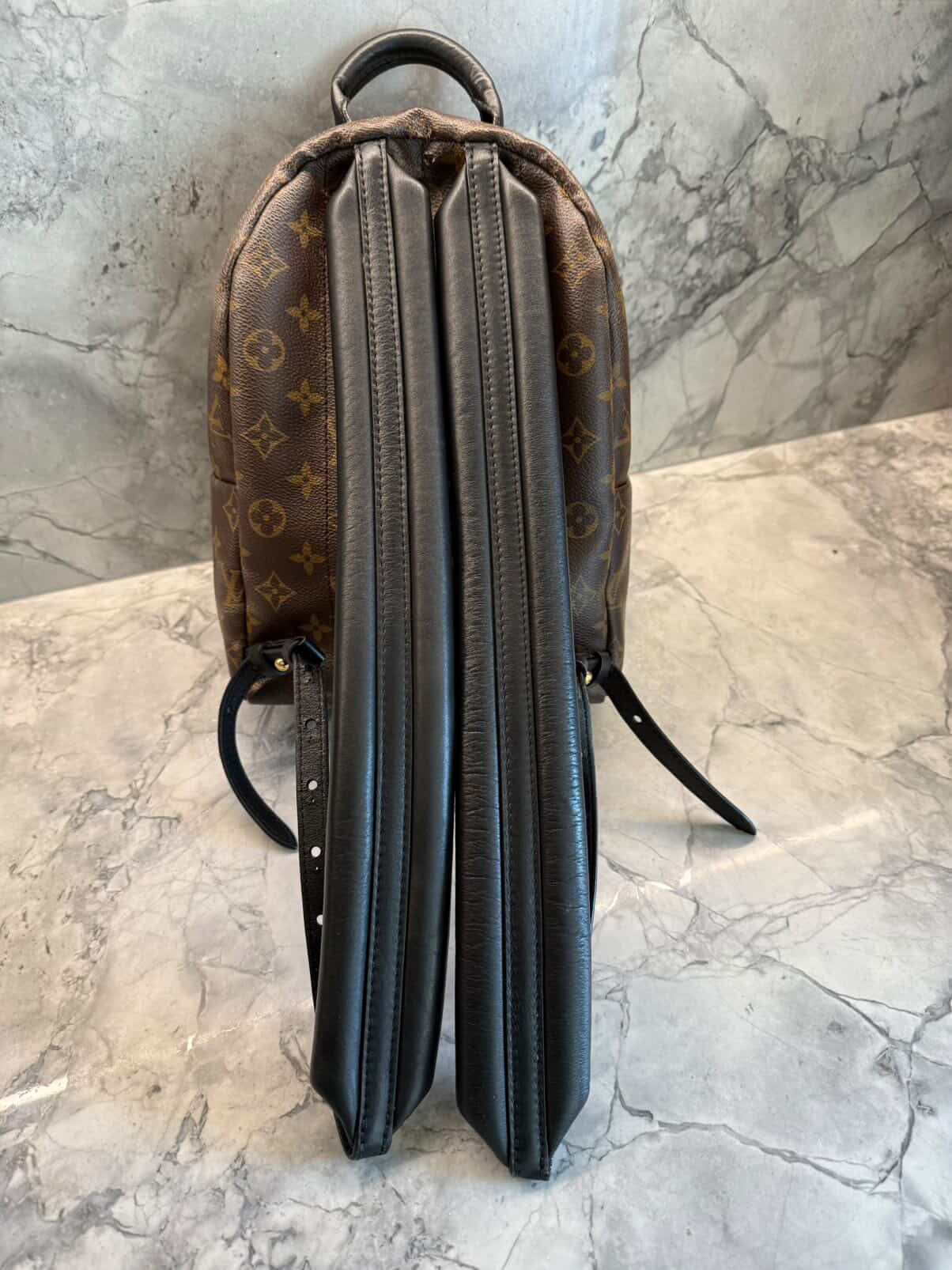 Louis Vuitton Palm Springs Backpack PM Monogram (Pre-owned)
