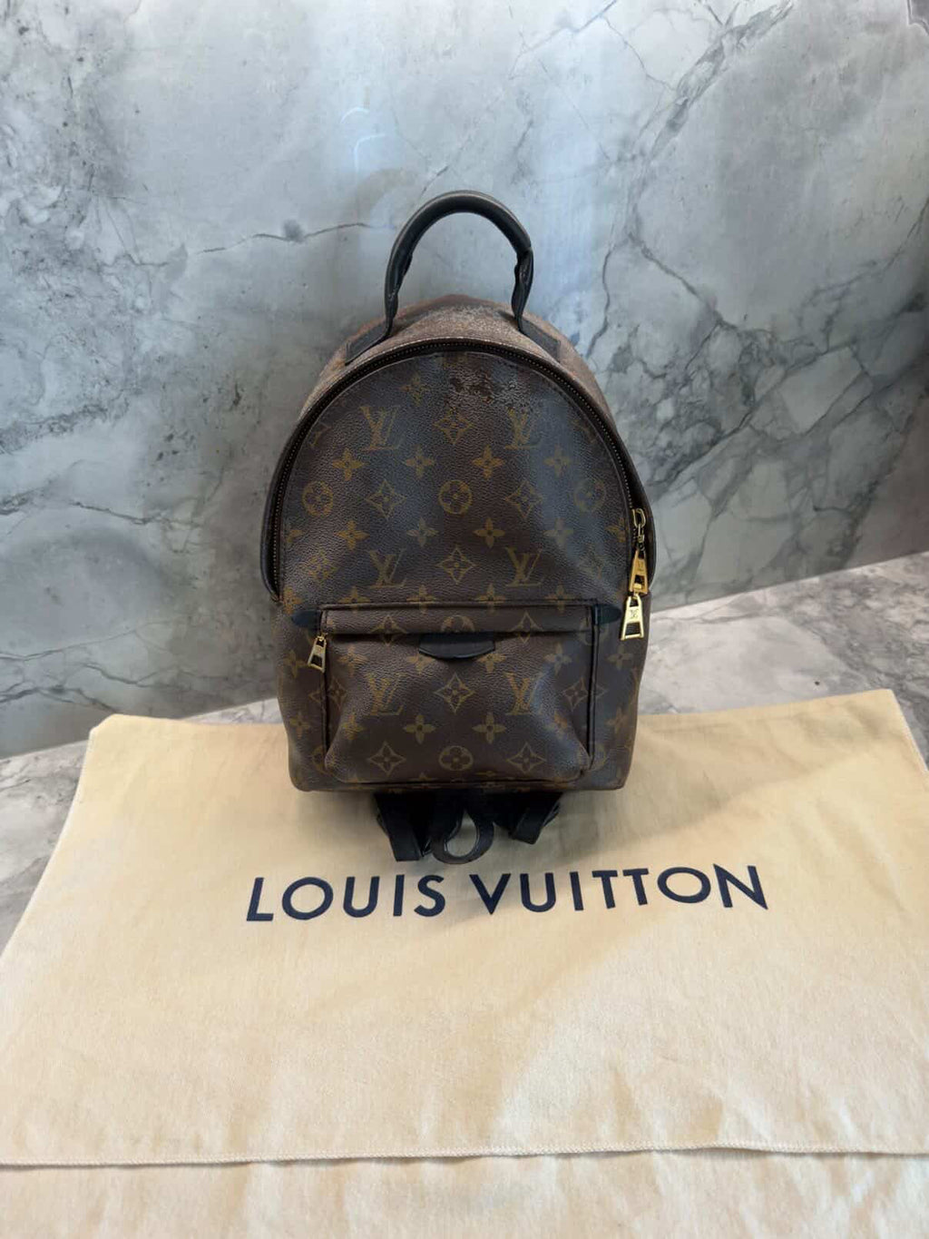 Louis Vuitton Palm Springs Backpack PM Monogram (Pre-owned)
