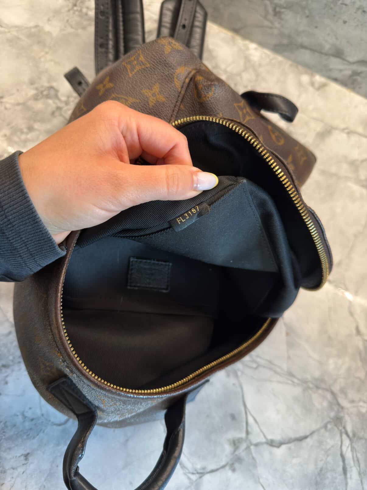 Louis Vuitton Palm Springs Backpack PM Monogram (Pre-owned)