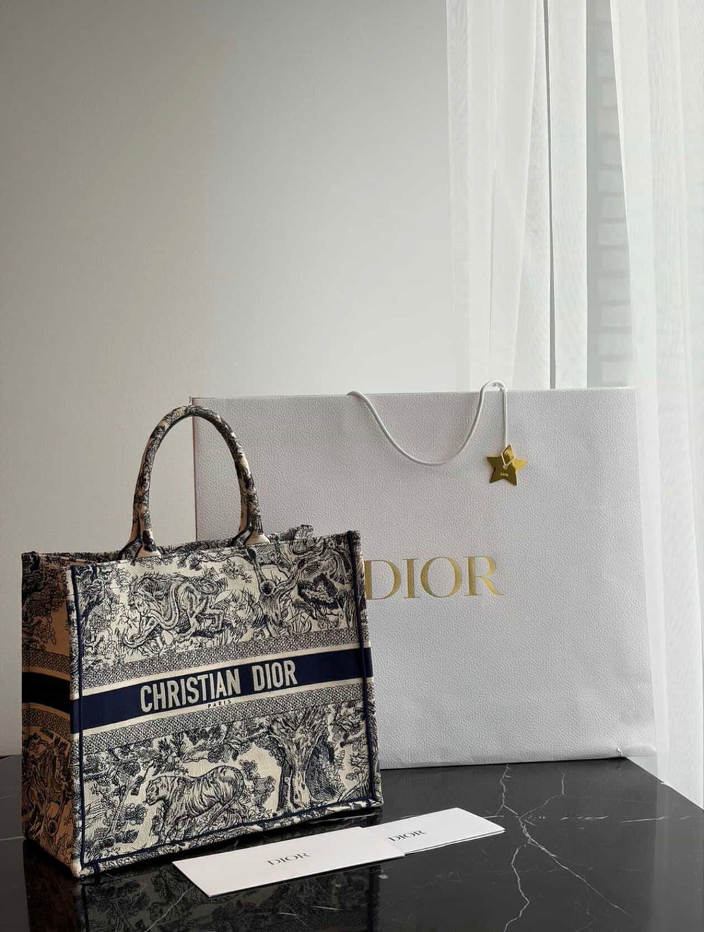 Dior Book Tote Medium Embroidered Canvas Bag – Like New