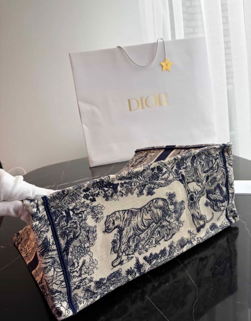 Dior Book Tote Medium Embroidered Canvas Bag – Like New