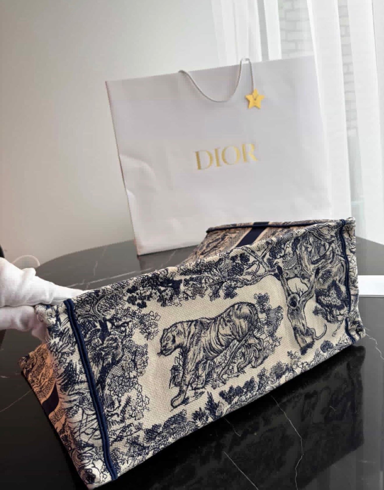 Dior Book Tote Medium Embroidered Canvas Bag – Like New