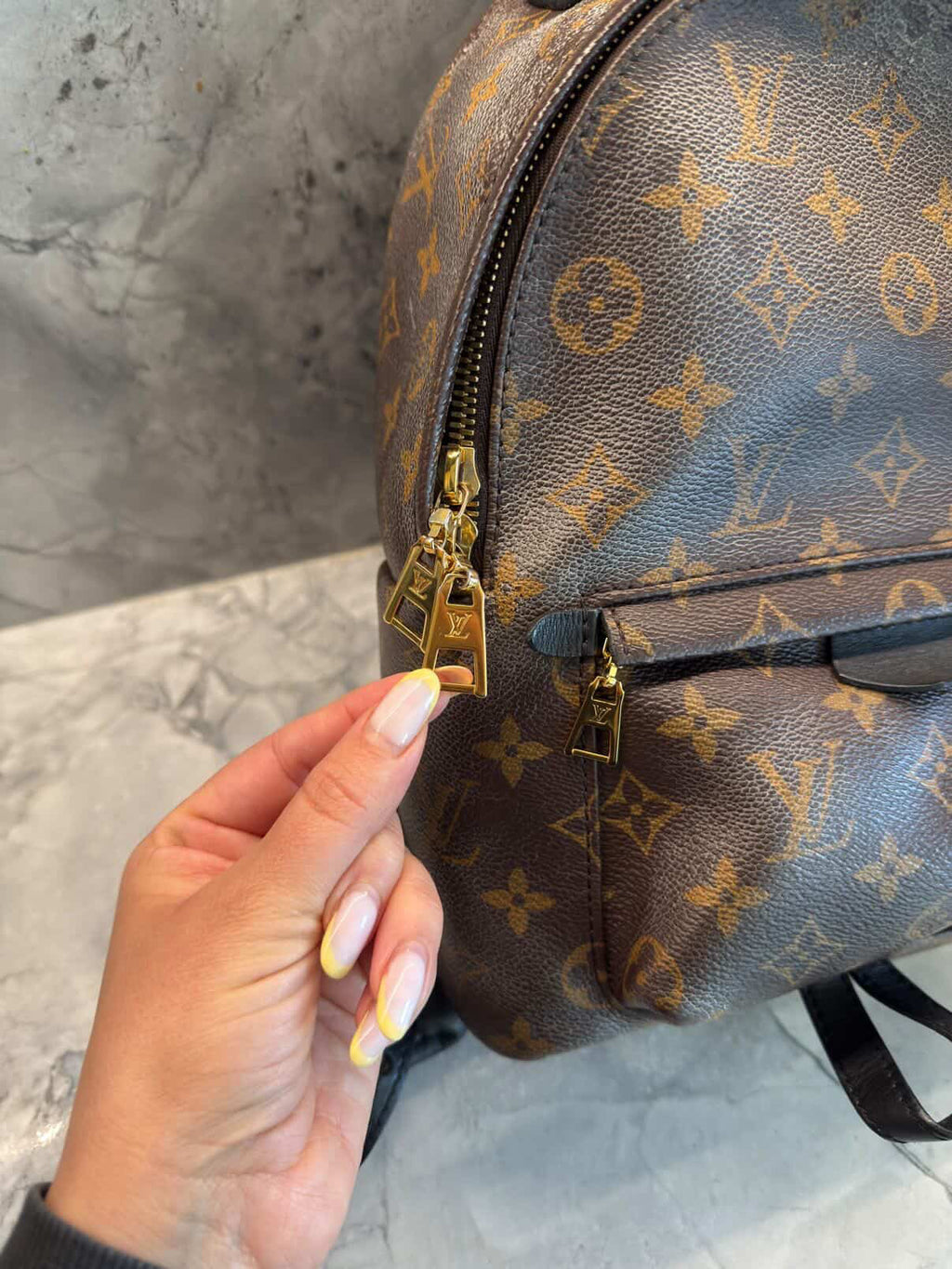 Louis Vuitton Palm Springs Backpack PM Monogram (Pre-owned)
