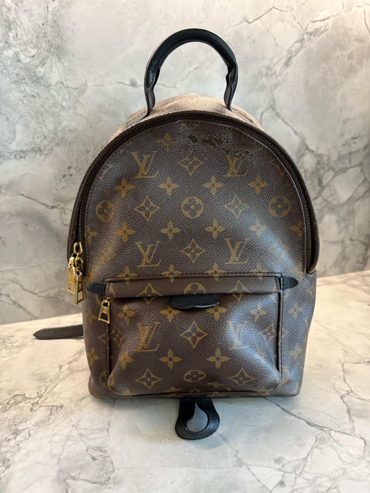 Louis Vuitton Palm Springs Backpack PM Monogram (Pre-owned)