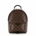 Louis Vuitton Palm Springs Backpack PM Monogram (Pre-owned)