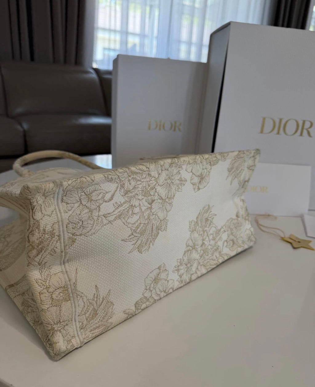 Christian Dior Toile de Jouy Zodiac Book Tote Bag (Beige/Gold Canvas)