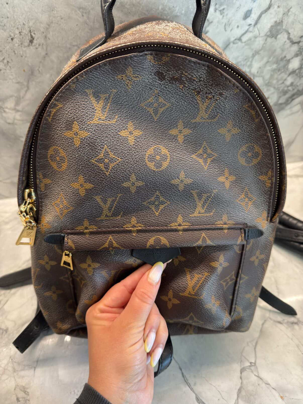 Louis Vuitton Palm Springs Backpack PM Monogram (Pre-owned)