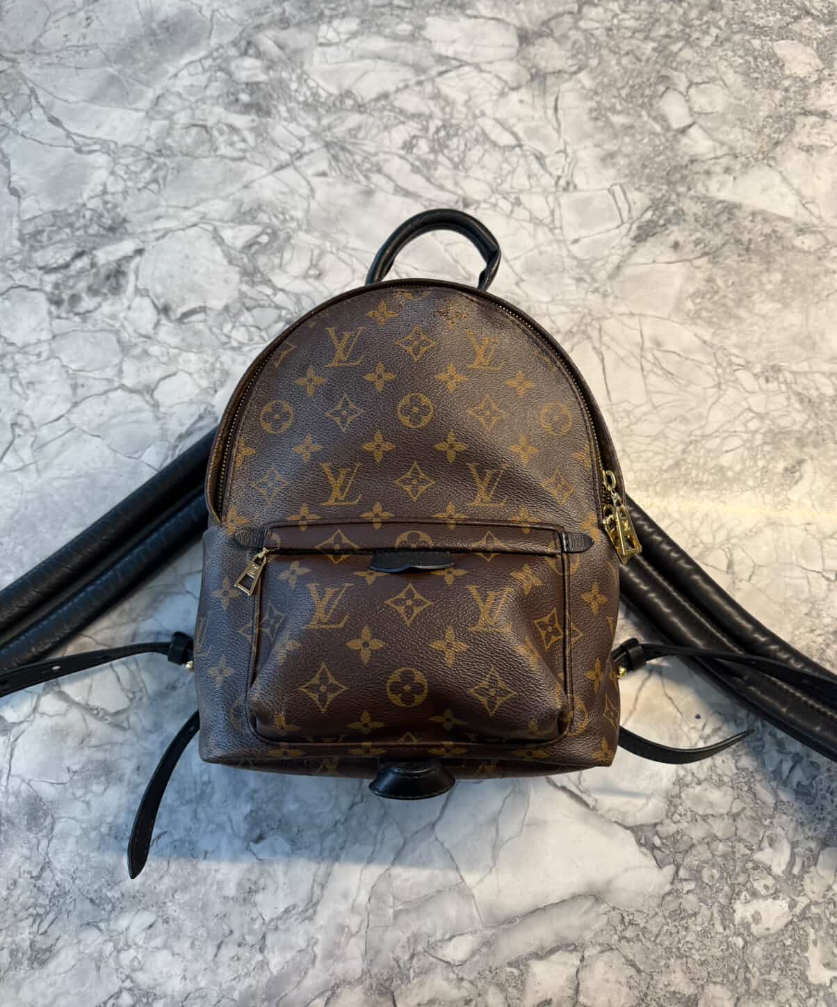 Louis Vuitton Palm Springs PM – Monogram Canvas/ Luxury Brands Malta/ Pre Owned