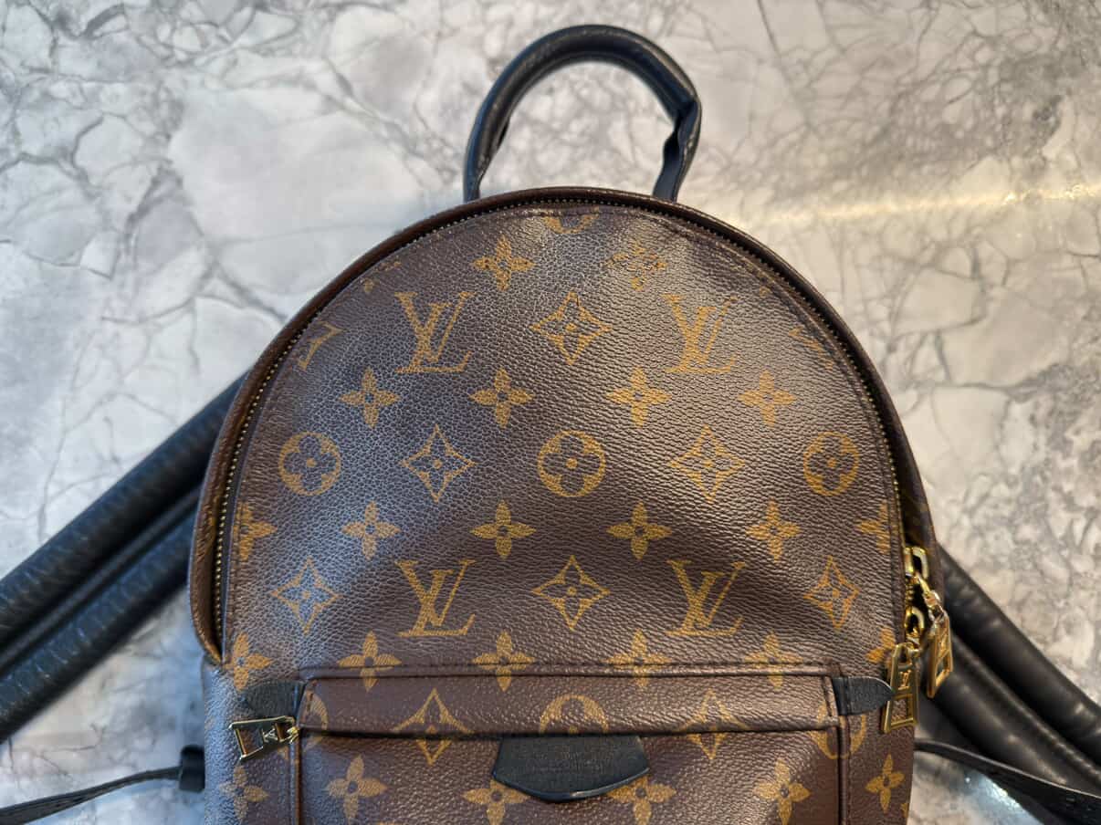 Louis Vuitton Palm Springs PM – Monogram Canvas/ Luxury Brands Malta/ Pre Owned