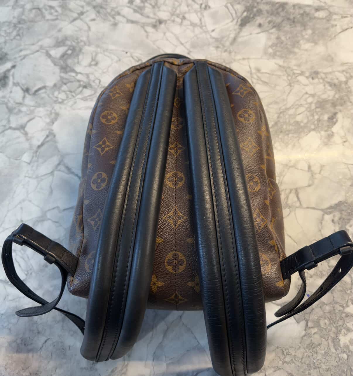 Louis Vuitton Palm Springs PM – Monogram Canvas/ Luxury Brands Malta/ Pre Owned