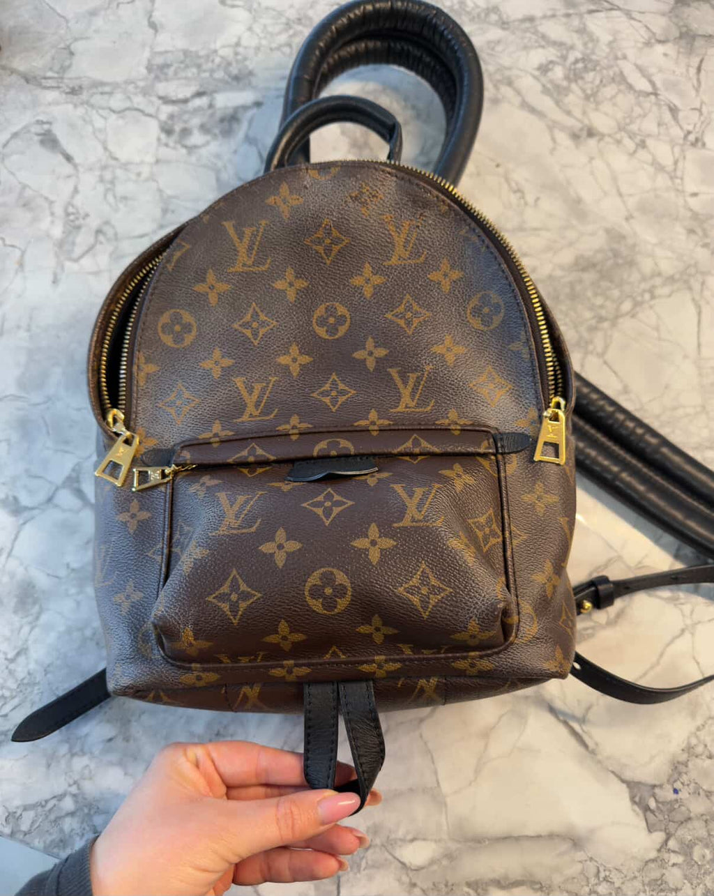 Louis Vuitton Palm Springs PM – Monogram Canvas/ Luxury Brands Malta/ Pre Owned